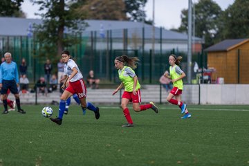 Bild 82 - C-Juniorinnen HSV - Walddoerfer : Ergebnis: 9:1